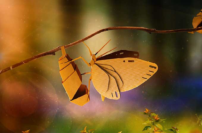 Sustainability Better Planet Packaging 