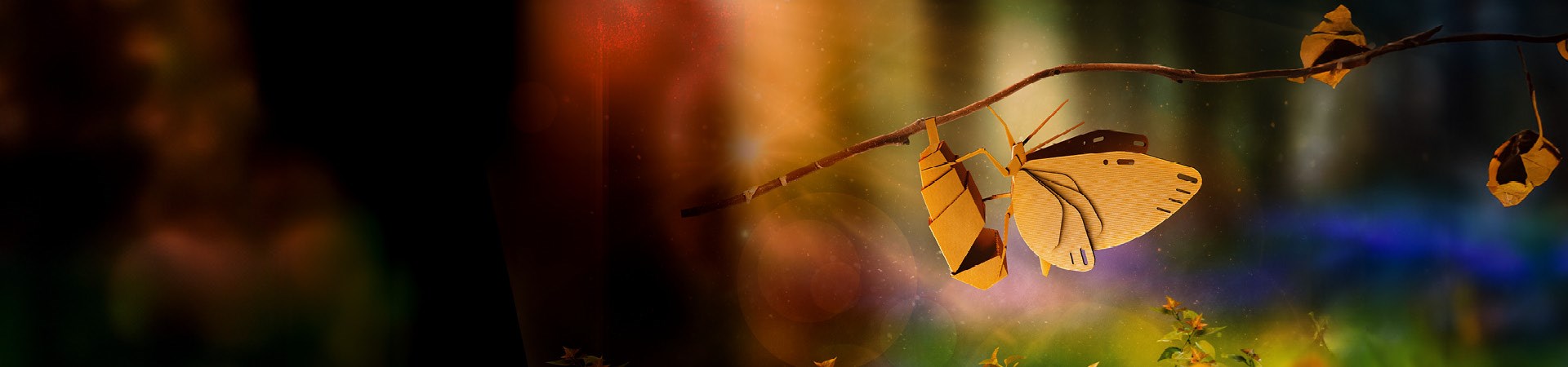 BPP Butterfly Landing Page Banner